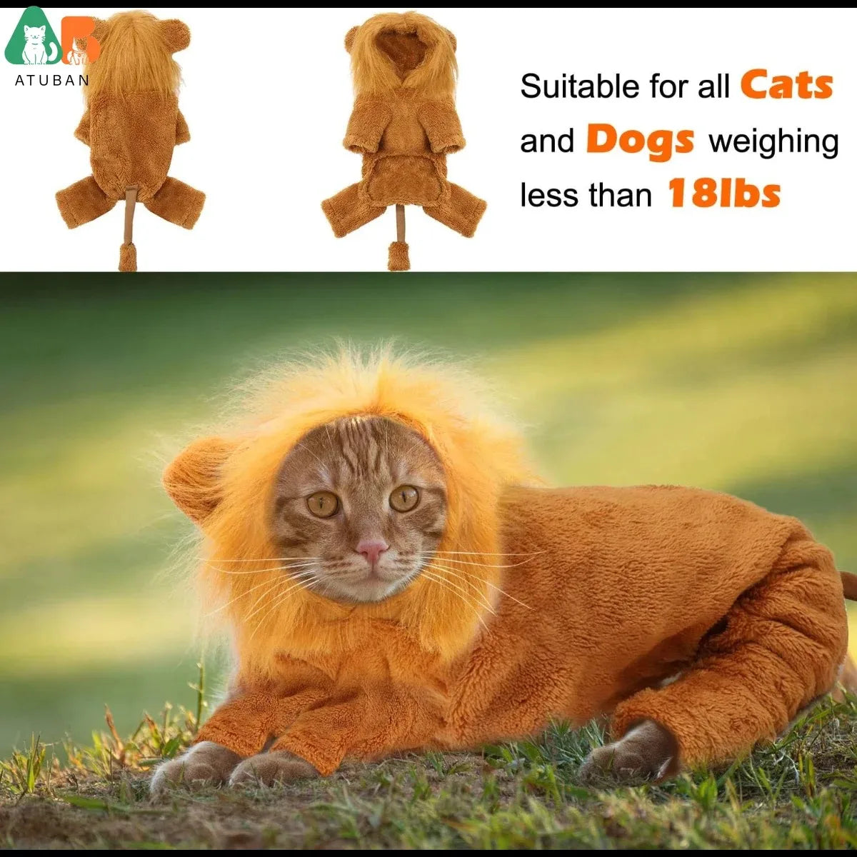 Funny  Dog Lion Costume