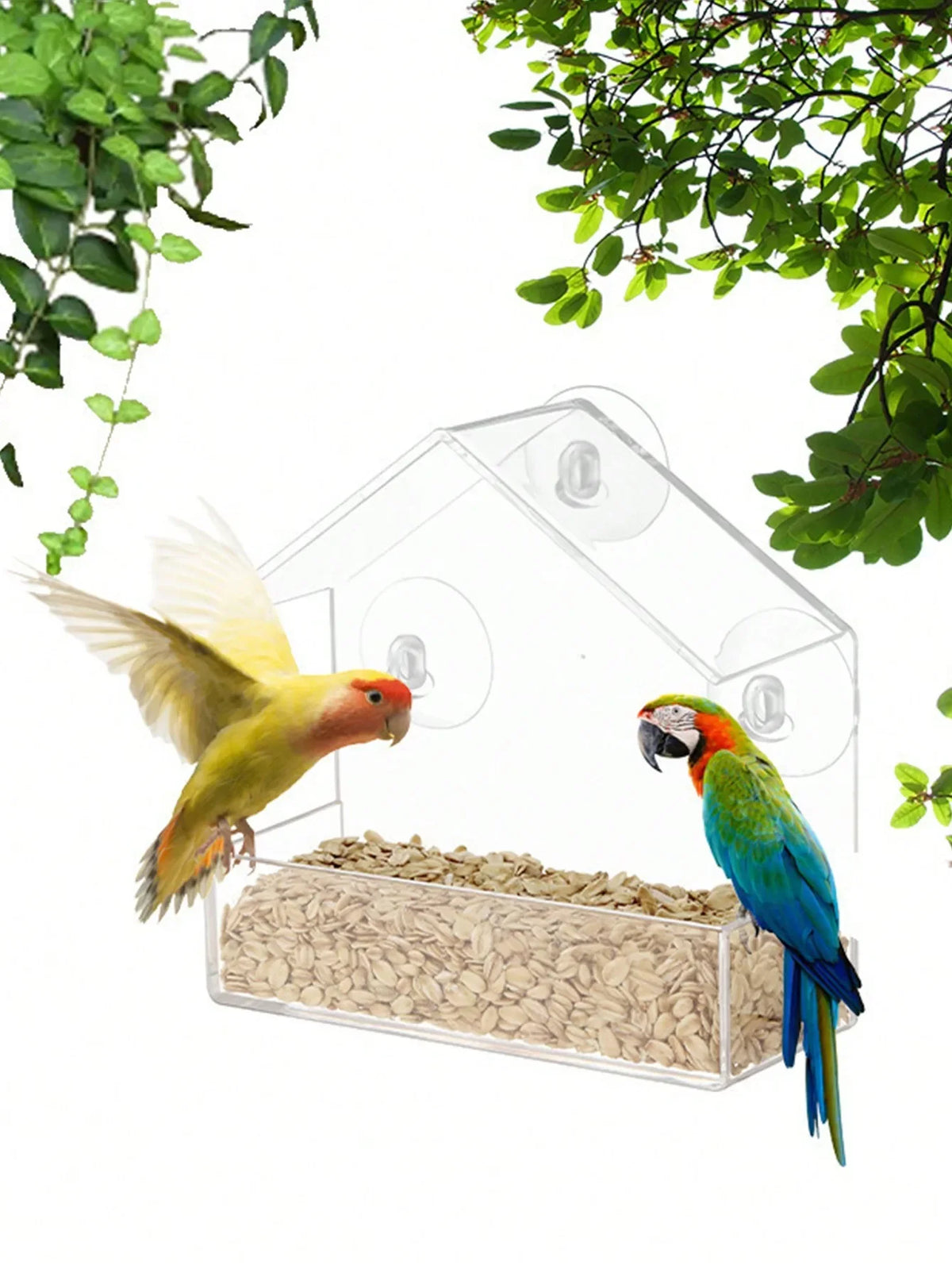 Acrylic Hanging Bird Feeder Clear Window