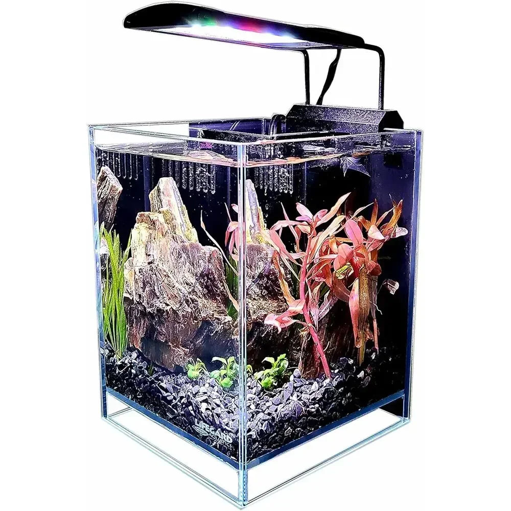 Ultra Clear Crystal Aquarium with Integrated Filter, Rimless Glass, And Beveled Edge