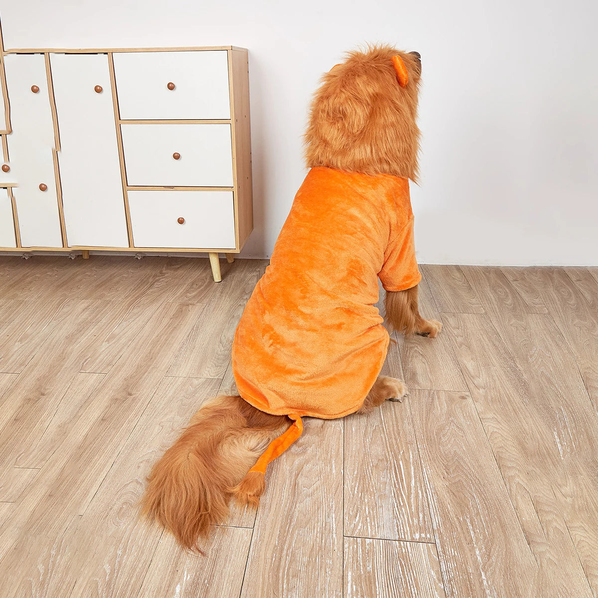 The Lion King Dog Halloween Costume