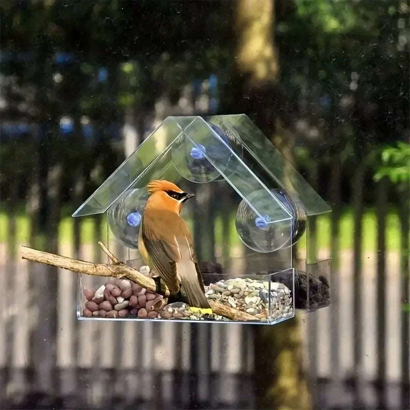 Acrylic Hanging Bird Feeder Clear Window