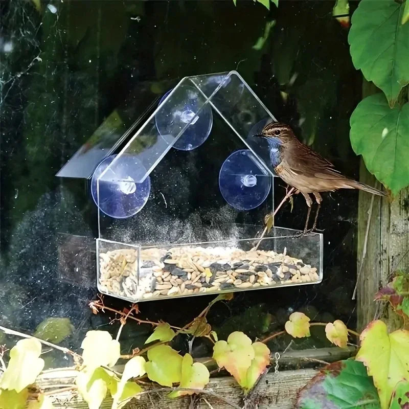 Acrylic Hanging Bird Feeder Clear Window