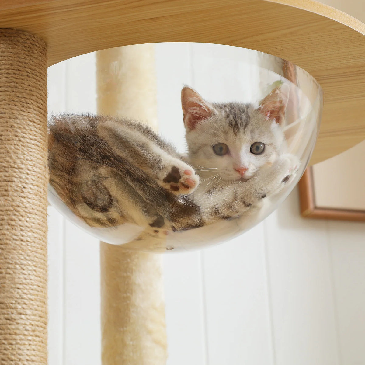 Wood Multi-Level Cat Tree Tower with Scratching Posts