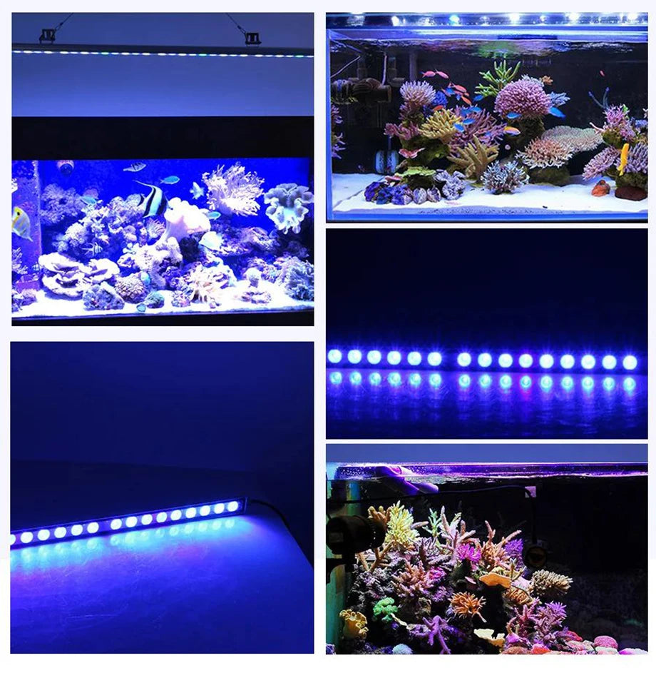 POPULAR GROW Dimmable LED Aquarium Light with Blue Spectrum LEDs 108W LED Strip Light