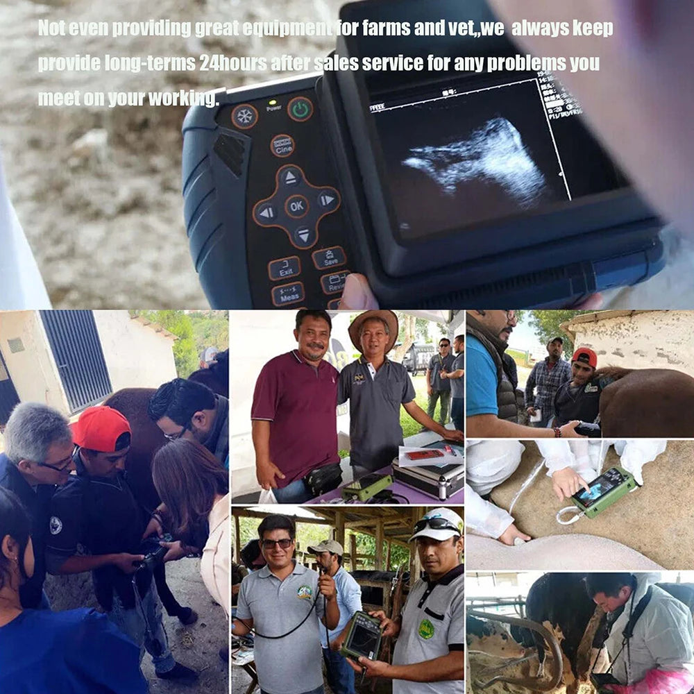 Portable Veterinary Ultrasound Scanner for Pregnancy Vet B Ultra Machine with 3.5MHz Convex Probe