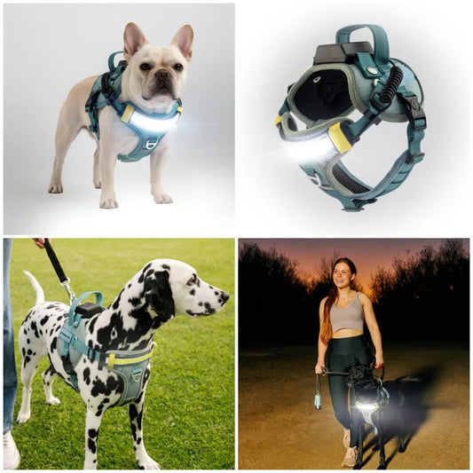 Lumi One LED Dog Harness for Night Visibility and Safety