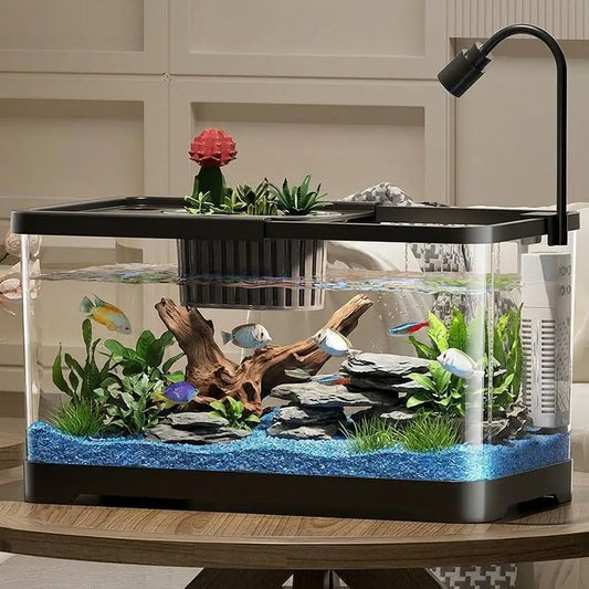 Fish Tank Starter Kit With Filter And Light Plastic Tank