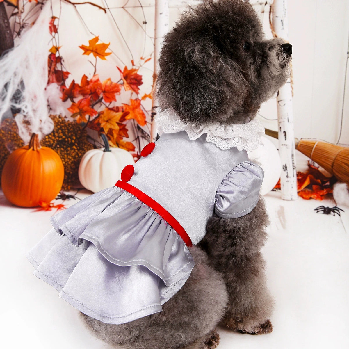 Halloween Pet Costume  - Stephen King's It dress