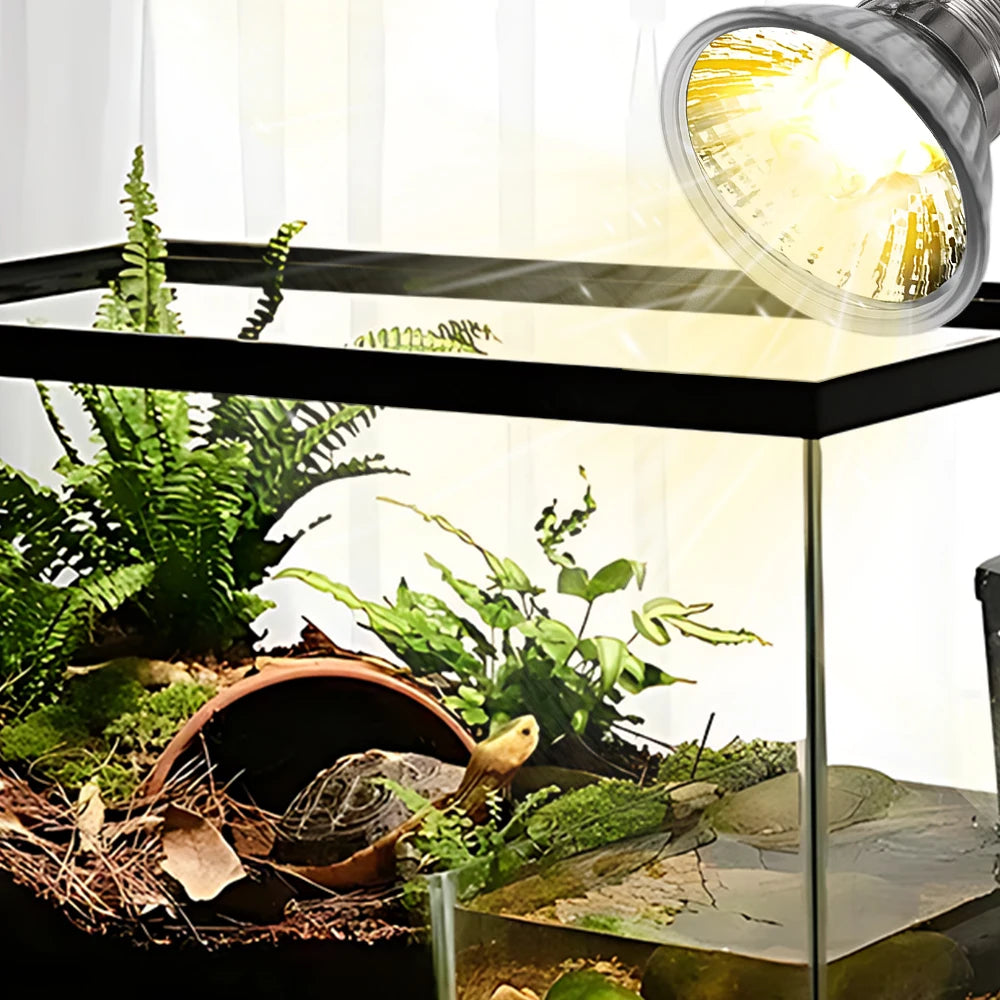 5/1PCS UVB Reptile Heating Lamp Bulb,  High Quality Sunlamp for Amphibians 25/50/75W