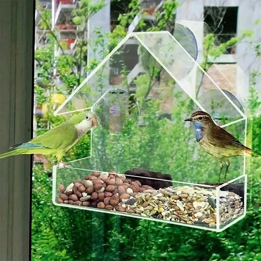 Acrylic Hanging Bird Feeder Clear Window