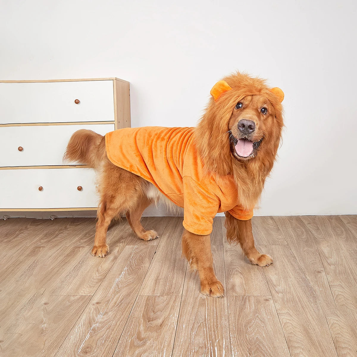The Lion King Dog Halloween Costume