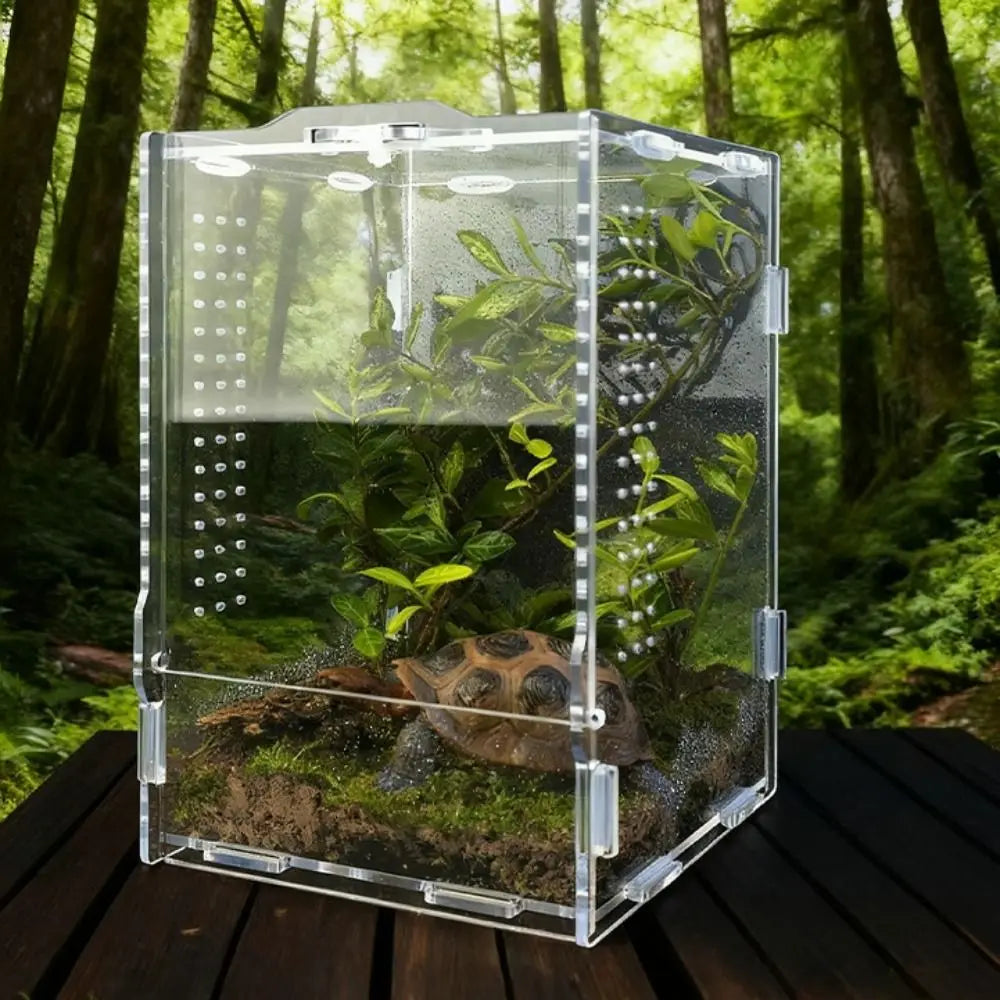 Acrylic Jumping Spider Enclosure Buckle Lock Transparent Reptile Feeding Tank Ventilated Escape Proof Spider House