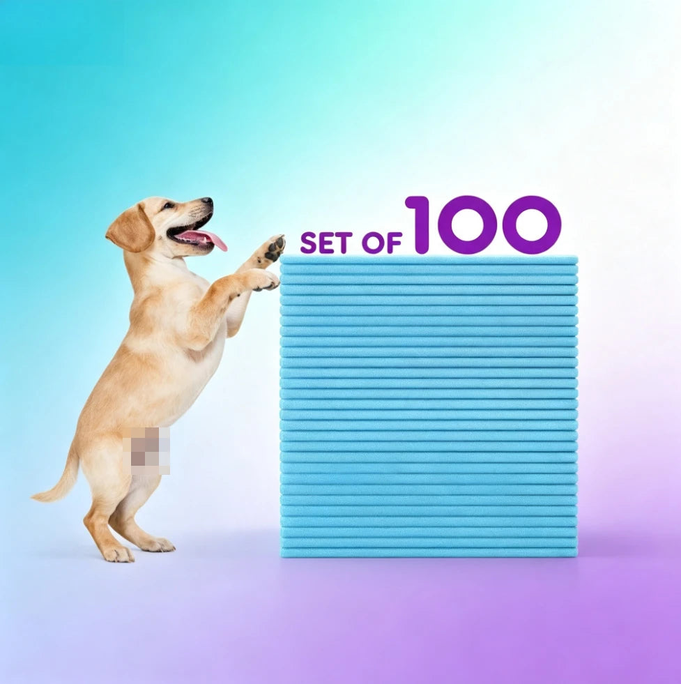 Disposable Dog Pee Pads Super Absorbent and Leak-Proof Training Pads -  Pet Housebreaking Pads Washable Piddle Pads 100 Count 22x22 Inches