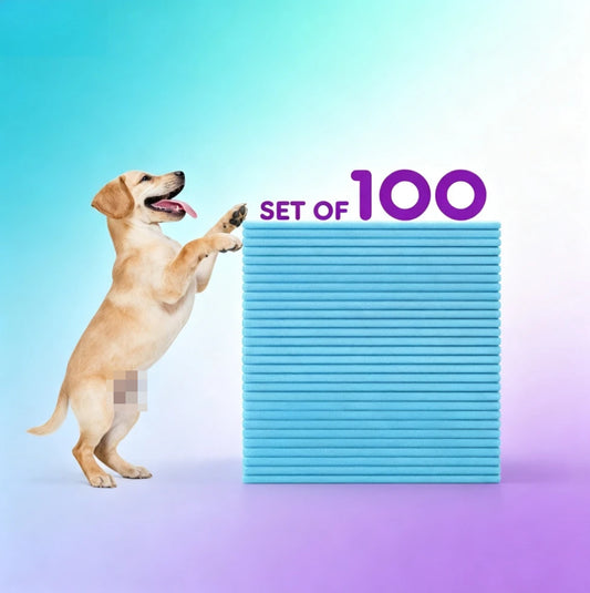 Disposable Dog Pee Pads Super Absorbent and Leak-Proof Training Pads -  Pet Housebreaking Pads Washable Piddle Pads 100 Count 22x22 Inches