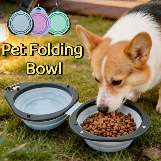 Portable Pet Folding Double Bowl Food Grade Collapsible Dog Dish
