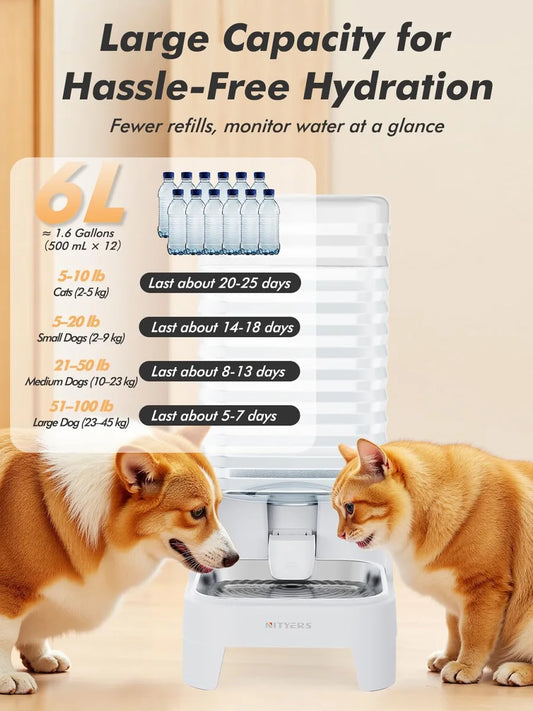 NITYERS 6L Gravity Pet Water Dispenser - Large Capacity Automatic Water Bowl -  Raised Elevated Pet Water Fountain