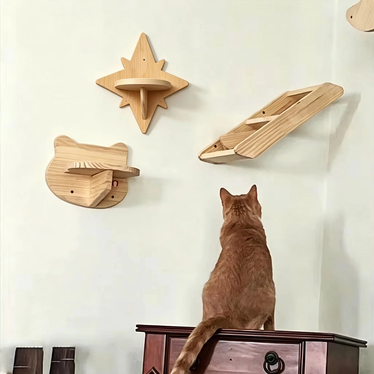 Wall Mounted Cat Shelves Set Moon Shape Hammock Star Perches