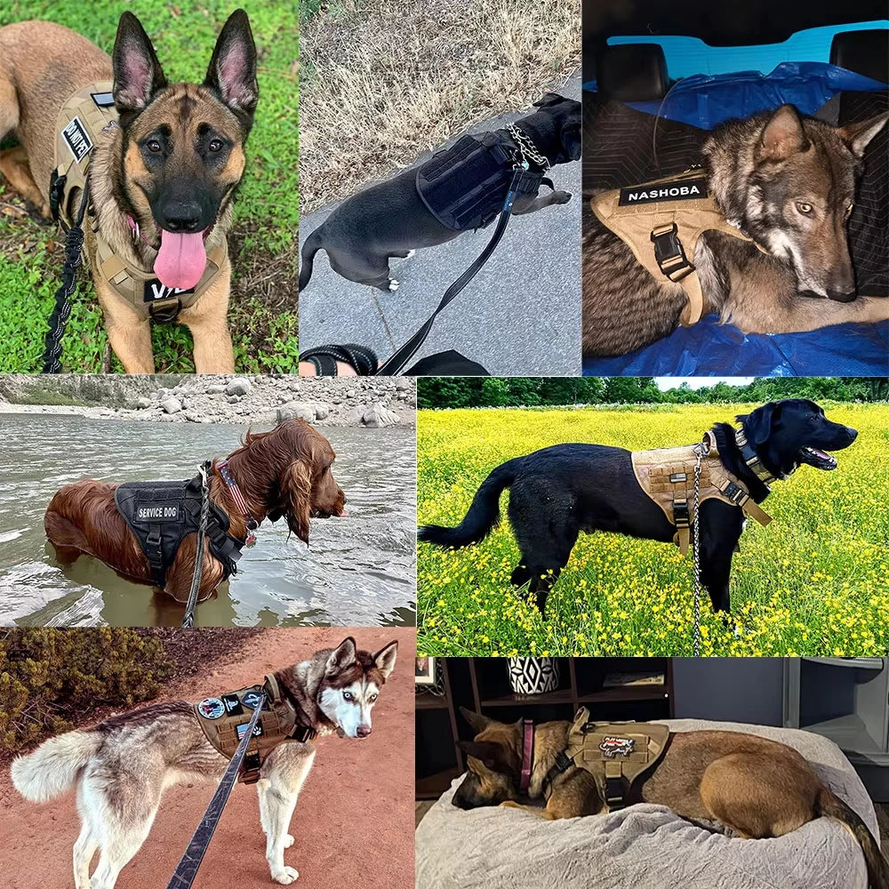 Tactical Military Large Dog Harness Collar