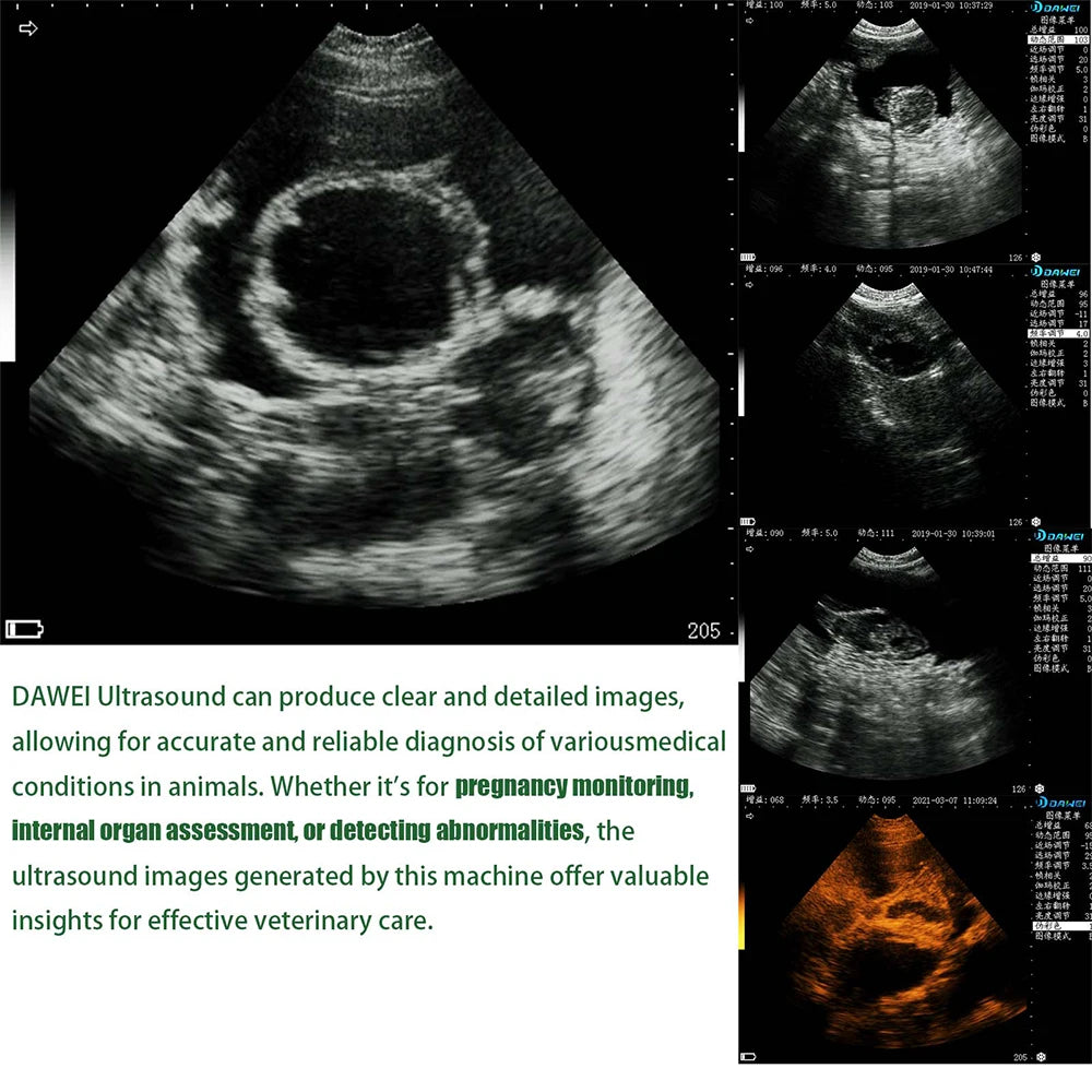 Portable Veterinary Ultrasound Scanner for Pregnancy Vet B Ultra Machine with 3.5MHz Convex Probe