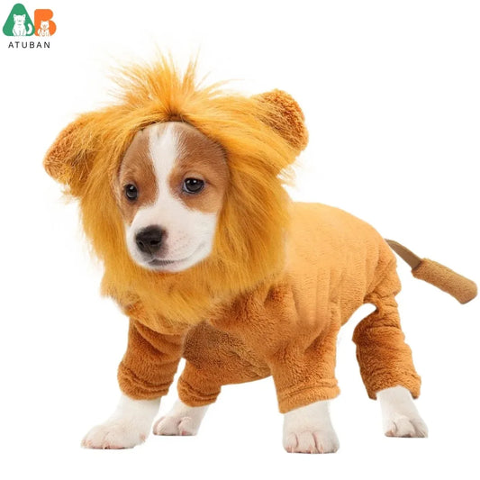 Funny  Dog Lion Costume