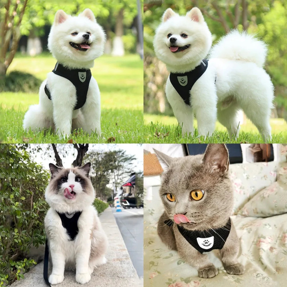 Adjustable Harness And Leash Set - Reflective Escape Proof Mesh Vest