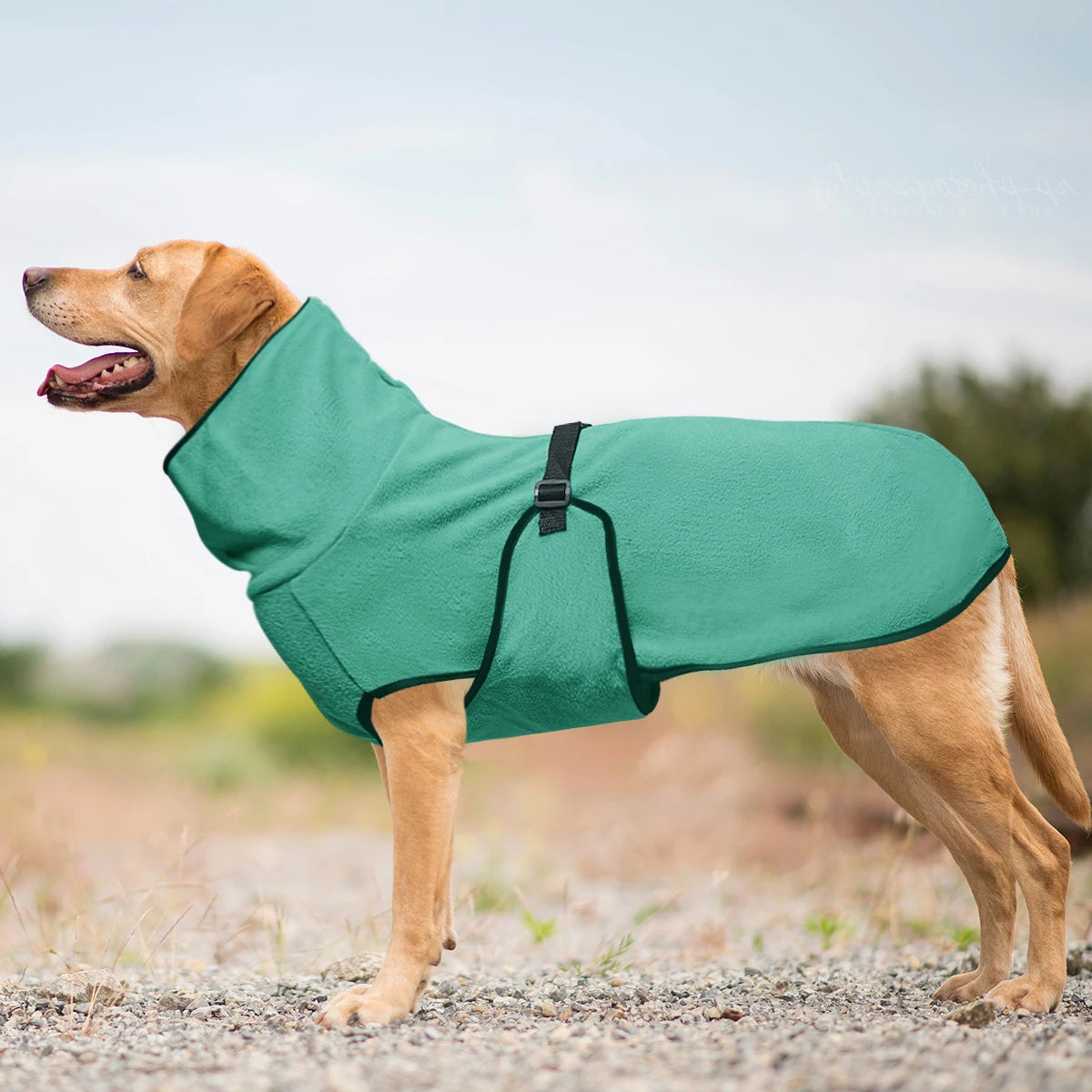 Dog Winter Coat Jumper,  with Warm Lining and Adjustable Band
