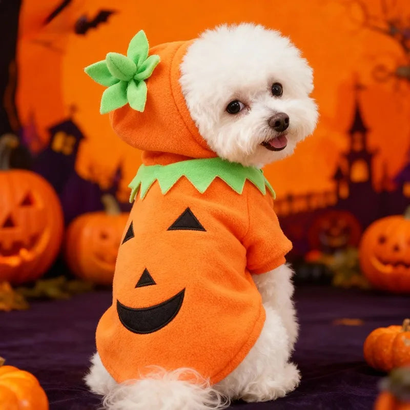 Halloween Pumpkin Pet Costume