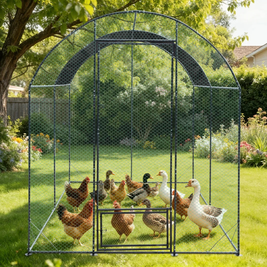 Large Outdoor Walk-in Poultry Cage with Nylon Netting Metal Tubes